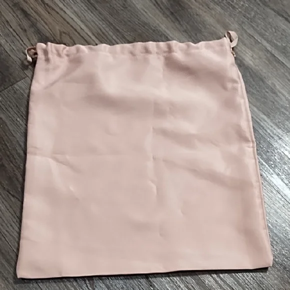 Stuart Weitzman Blush Pink Pouch - Picture 5 of 5